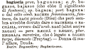 bagascia pronunciation