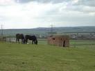 Pillbox above Gotham (1). Details of this particular defence point are set - via Daymix