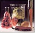 Food Science info
