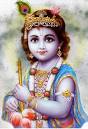 krishnasmercy.org - WLW-LordKrishna_D642-krishna_narrow_2