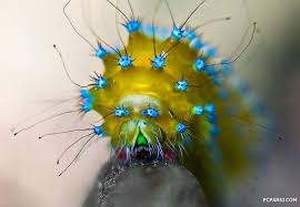 images?q=tbn:ANd9GcQ1n1Hie-9gmPXRTZw5m4ecoF13xvuBWt8S-B0lzYLAhF_-eyjG5g