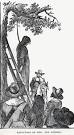 Salem Witch Trials: Images