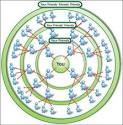 Social Network