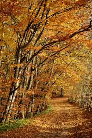 mojabudowa.pl - blog budowlany