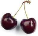 http://1.bp.blogspot.com/-Sdpc6YA-9lE/TdEhuSmEPiI/AAAAAAAAEUo/Rb1n1IS-ZDw/s1600/cerises_double.JPG