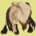 EQUIDEOW le jeu virtuel de chevaux