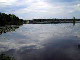 images?q=tbn:ANd9GcQ2JIPteHJapLXHEhKzEEHdwr8_CfZzBPWvfxIXRVASndmGkRSyxg