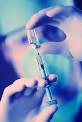 <b>Anesthesia</b>