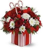 http://t3.gstatic.com/images?q=tbn:ANd9GcQ2NQ7epcutNYN45JpLqKvv_KZWelUyQYyWwh1St1EWvHLfrhNS