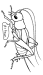 Cricket coloring page