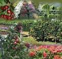 Horticulture