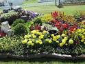 Garden Flower Bed Ideas | Native Garden Design