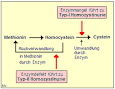 Formen der <b>Homocystinurie</b>