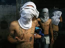 images?q=tbn:ANd9GcQ2X6qzBYlHAt_I5BnmfH3ehbRd2zZRukUePQUr2DWovnfiV52olw