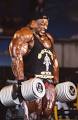 top bodybuilders