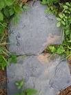 ye Body of Sarah Jones 17 (missing) Also ye Body of Edwd Roberts who was - via Daymix