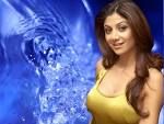 Shilpa Shetty Image shilpa shetty Picture 6