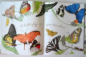 Image result for a patient butterfly