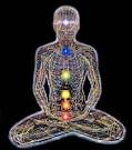 The Human Chakra System