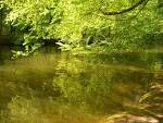 Wallpaper <b>Natur</b>