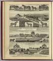 Orchard Hill and Cedar Grove stock farms, Octagon Hotel, Valley