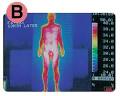 Holistic Resources for a Healthy Body and Lifestyle