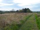 Path beside Cameron Reservoir. Leading to the west dam. - via Daymix