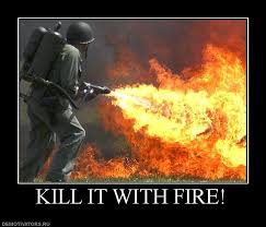 Kill it with fire!!!