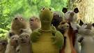 Over the Hedge