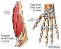 <b>Tendon</b> Disorder