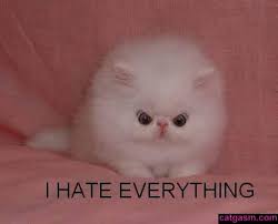 external image images?q=tbn:ANd9GcQ4B_MGN9qfHk_U7PPLzvgi-zjpaQ3IY4cISn7lIWpTyNrte-3h