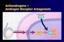 Current Issues in the Management of Prostate Cancer: Charles ...