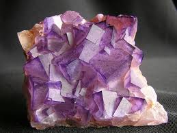 external image images?q=tbn:ANd9GcQ4IXxgTJjWKqF7ctzhBW5QUHz4NP8h62dzDh2FTybGaHoNYr_C9w