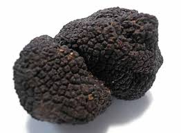 Tartufo