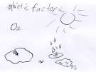 Friday Sprog Blogging: ecological concepts in pictures ...