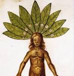the <b>mandragoras</b> to look,