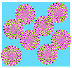 images?q=tbn:ANd9GcQ54lJ8dNvMYPHPN-awWXPut17DAinuCu4BxROKazLyTpUjzd0U