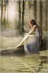 Dreamer