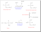 Amino Acid Synthesis