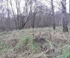 More sizes. Old mole fortress with new mole hill on it - via Daymix