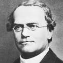 Gregor Mendel Biography - Facts, Birthday, Life Story - Biography.
