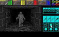 Download Dungeon Master | Abandonia