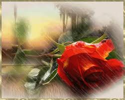 http://t3.gstatic.com/images?q=tbn:ANd9GcQ5njFON13MZ4slcbRZEtgdDJeC4tXwudGjTs54WPyv_PRE2kEE