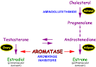 Aromatase inhibitors