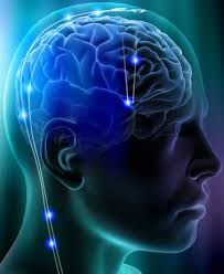 Brain and Mental Health