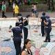 Limpiaron y recuperaron fuente de agua del Parque Santander - La Nación.com.co