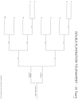 Darters.com ... TOURNAMENT BRACKETS : 10 Team Double Elimination ...
