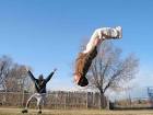 Super Kung Fu Flips | MrSikhNet