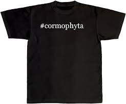 Image result for "Cormophyta"