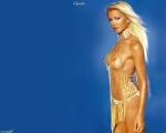 Caprice Bourret Image Caprice Bourret Wallpaper   1280x1024 | Desktop Angels Picture 7